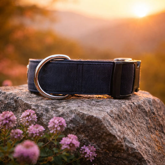 Dunkelblaues Feuerwehr-Halsband mit Fokus auf den stabilen D-Ring aus Metall, platziert in einer herbstlichen Berglandschaft.